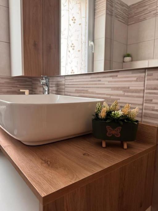 Appartamento Sweet House A - Tor Vergata Metro C